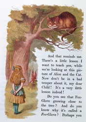 Alice et le Chat du Cheshire, illustration de 